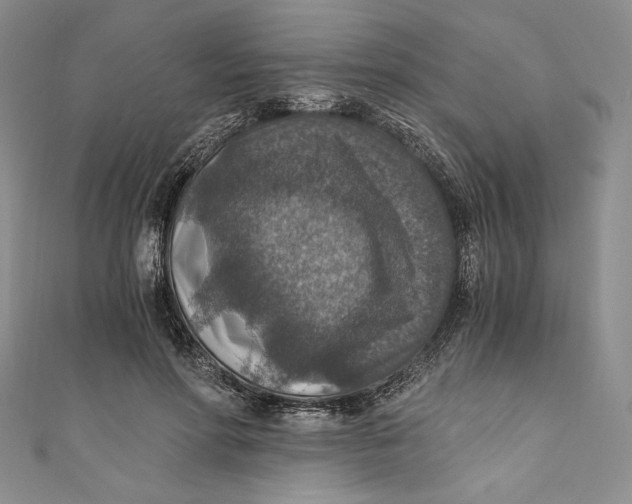 X0000110890598200907091355