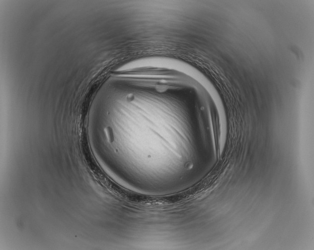 X0000110890599200907091355