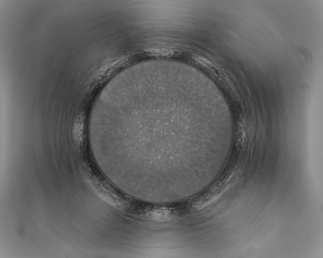 X0000110890600200907091355