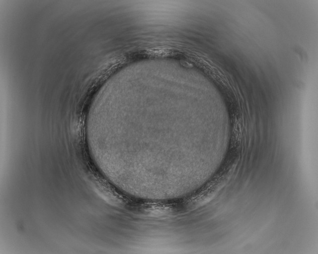 X0000110890601200907091355