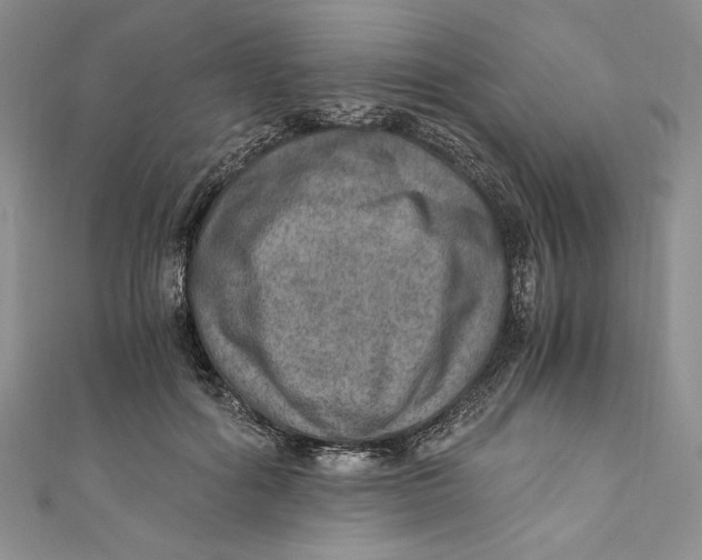 X0000110890602200907091355