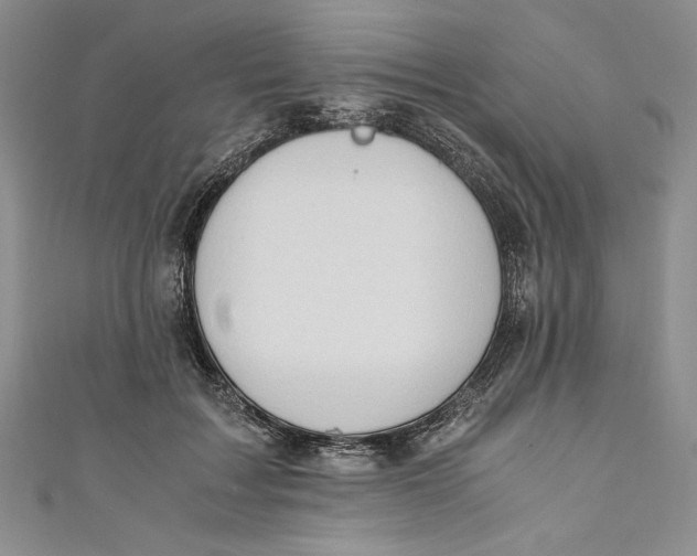 X0000110890603200907091355