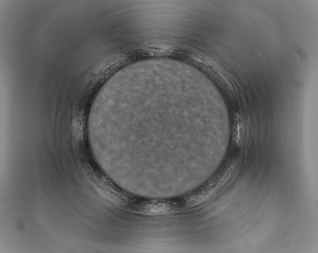 X0000110890604200907091355