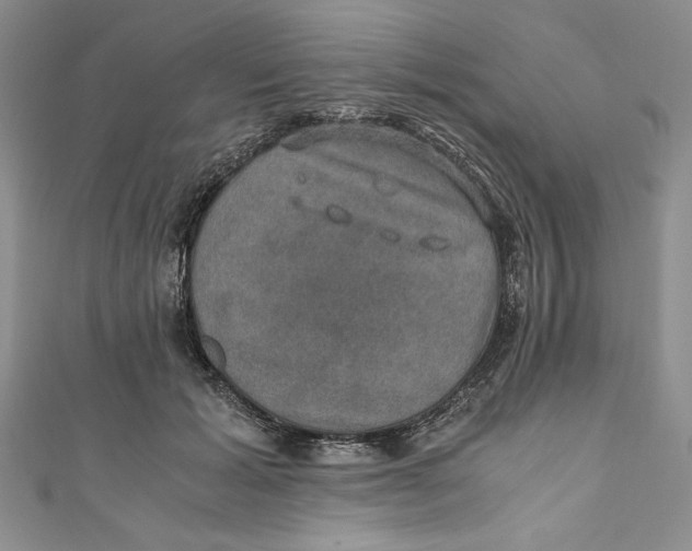 X0000110890605200907091355