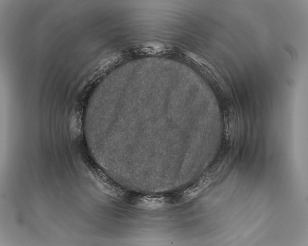 X0000110890606200907091355