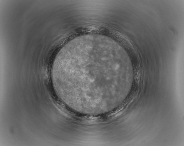 X0000110890607200907091355