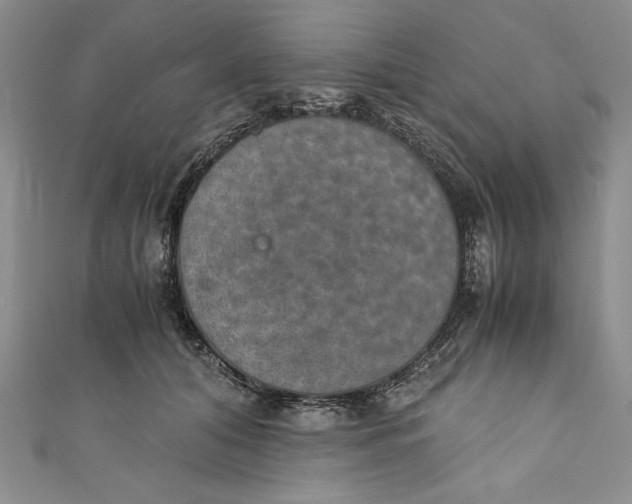 X0000110890608200907091355