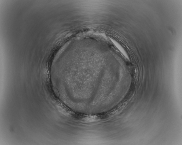 X0000110890609200907091355