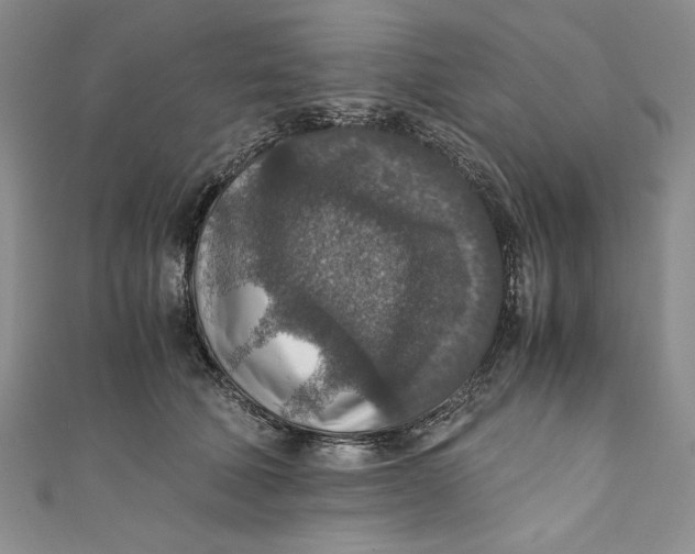 X0000110890610200907091355