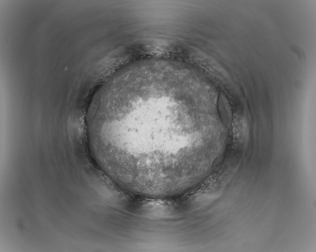 X0000110890611200907091355