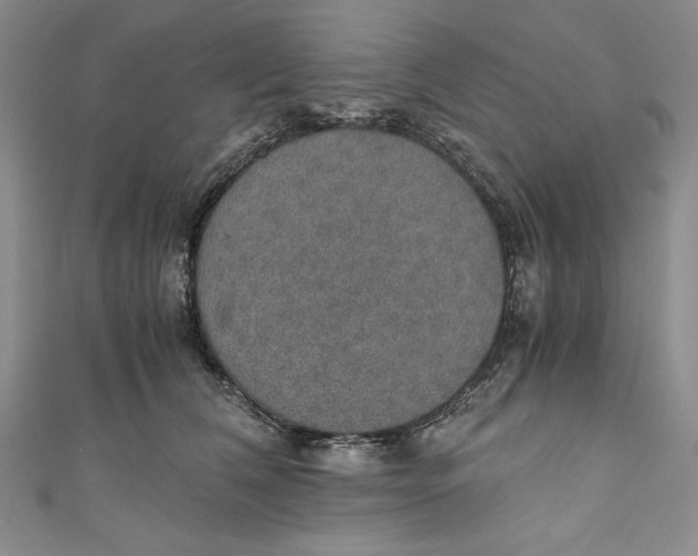 X0000110890612200907091355