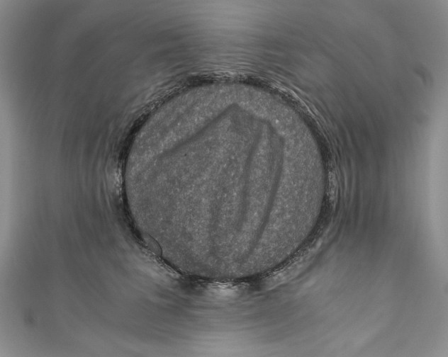 X0000110890613200907091355