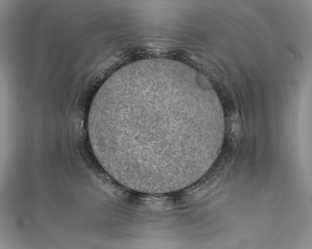 X0000110890615200907091355