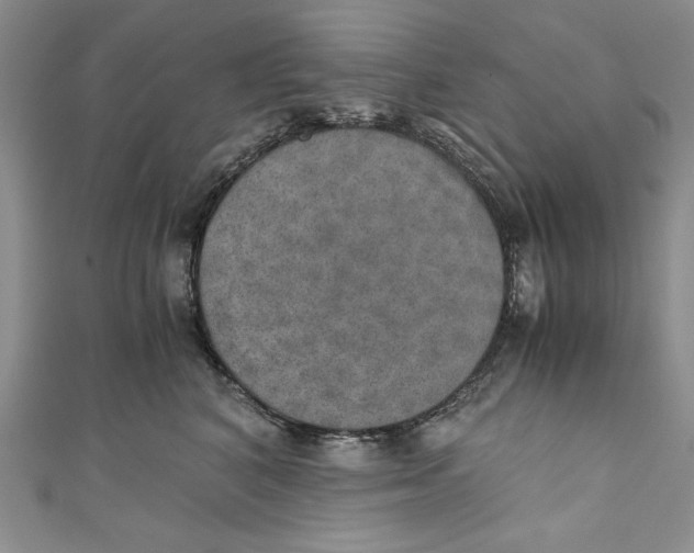 X0000110890616200907091355