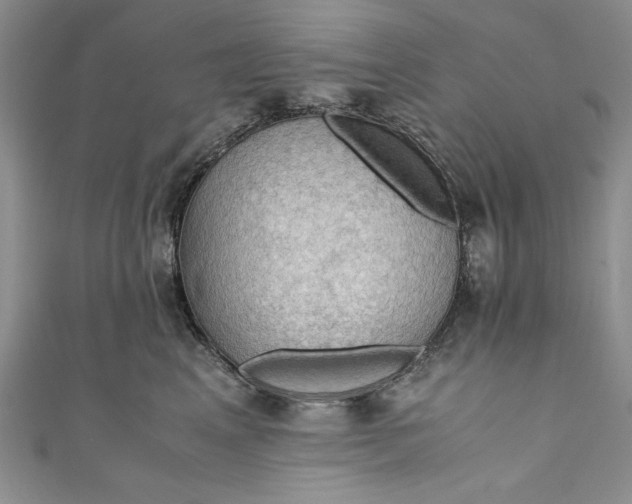 X0000110890617200907091355