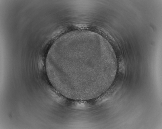 X0000110890618200907091355