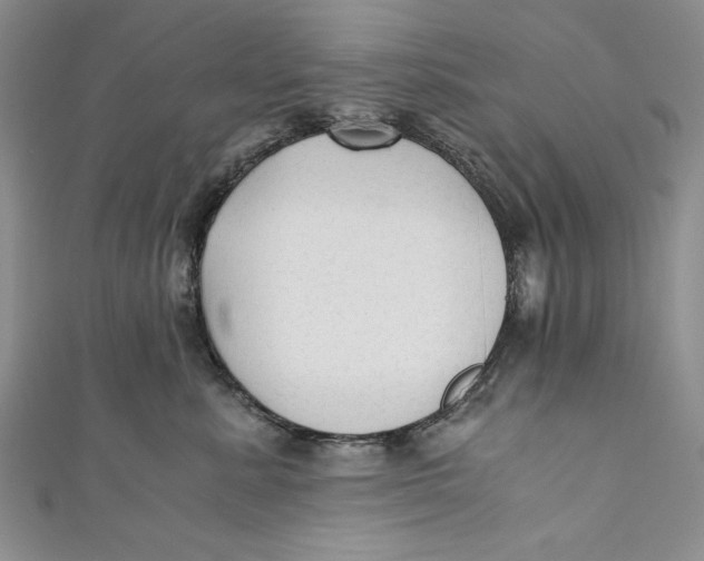 X0000110890619200907091355