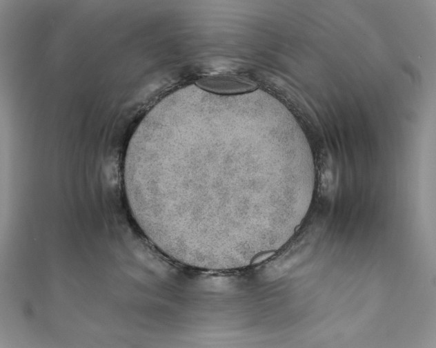 X0000110890620200907091355