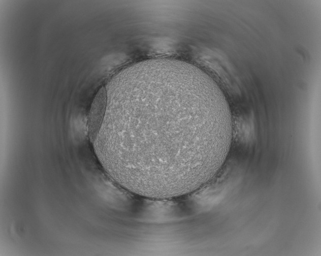 X0000110890621200907091355