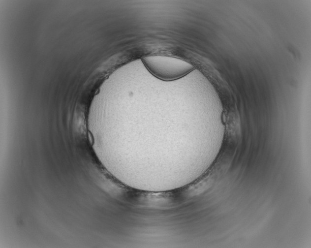 X0000110890622200907091355