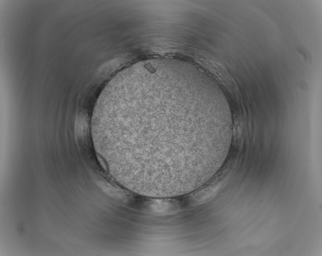 X0000110890623200907091355