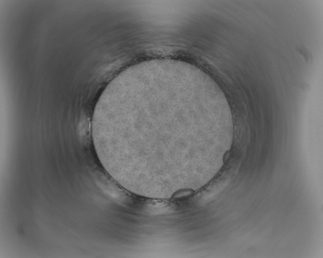 X0000110890624200907091355