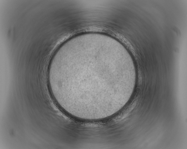 X0000110890625200907091354