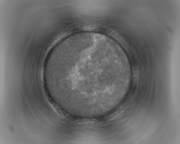 X0000110890626200907091354