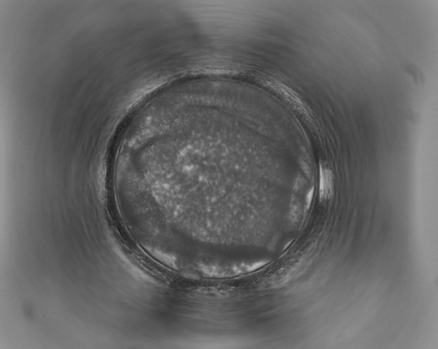 X0000110890627200907091355