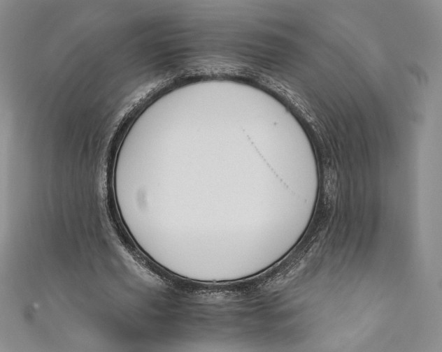 X0000110890629200907091355