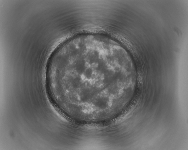 X0000110890630200907091355