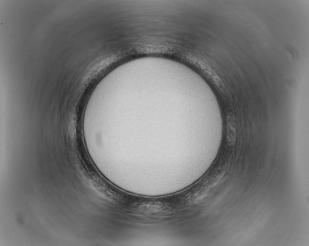 X0000110890631200907091355