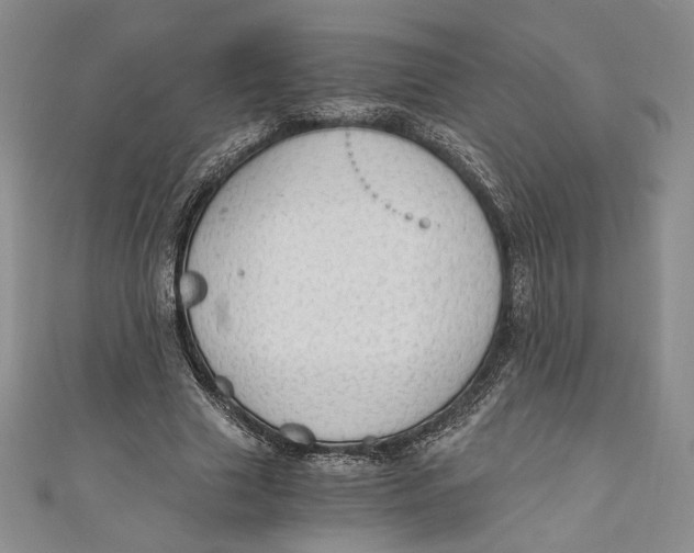 X0000110890633200907091355