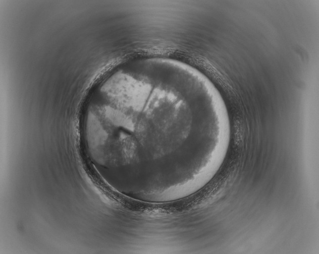 X0000110890634200907091355