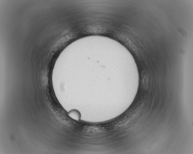 X0000110890635200907091355