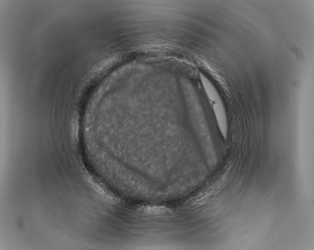 X0000110890637200907091355