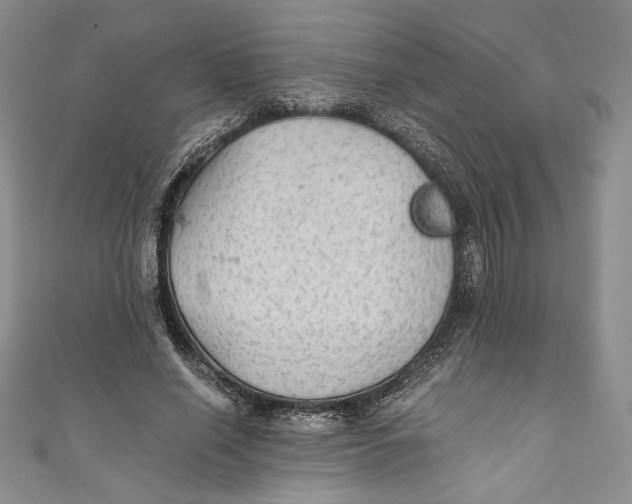 X0000110890638200907091355