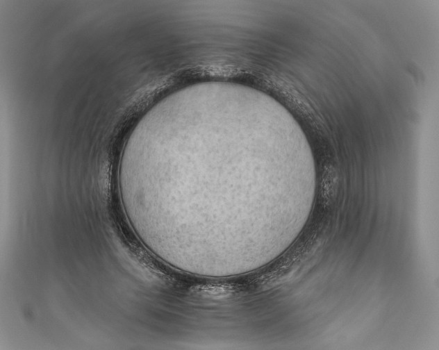 X0000110890639200907091355