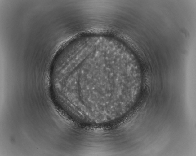 X0000110890640200907091355