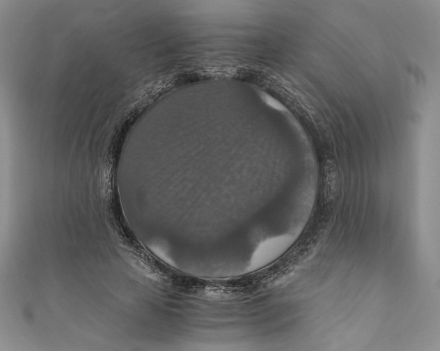 X0000110890641200907091355