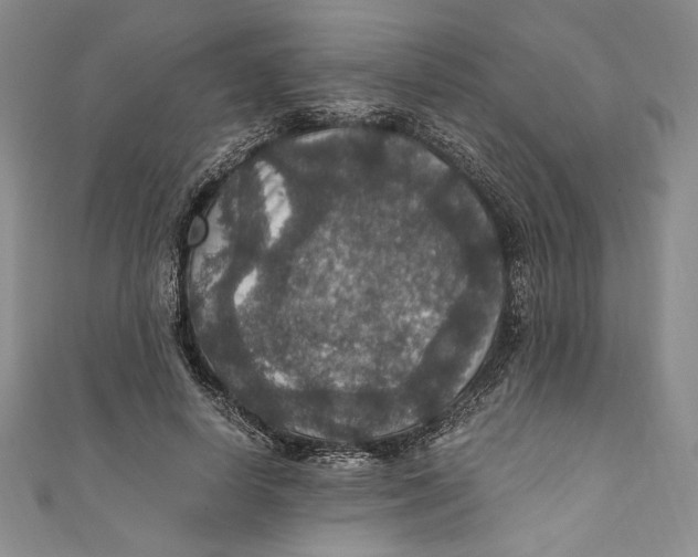 X0000110890642200907091355