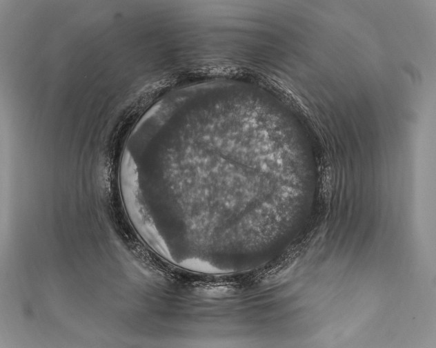 X0000110890643200907091355