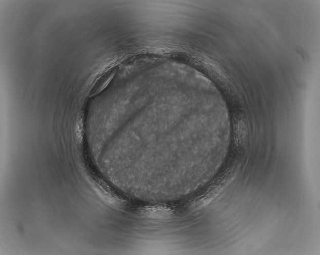 X0000110890644200907091355