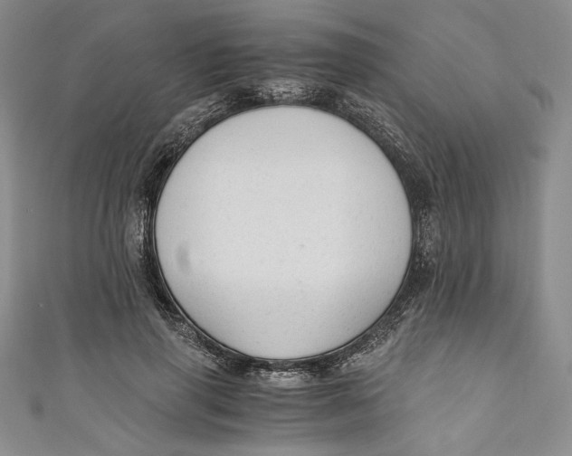 X0000110890645200907091355