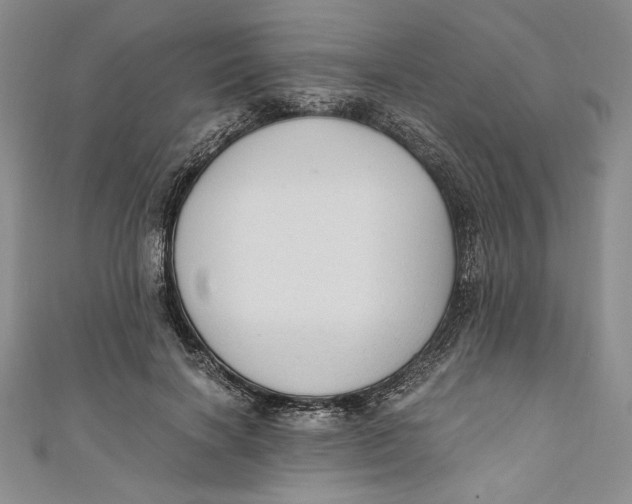 X0000110890646200907091355