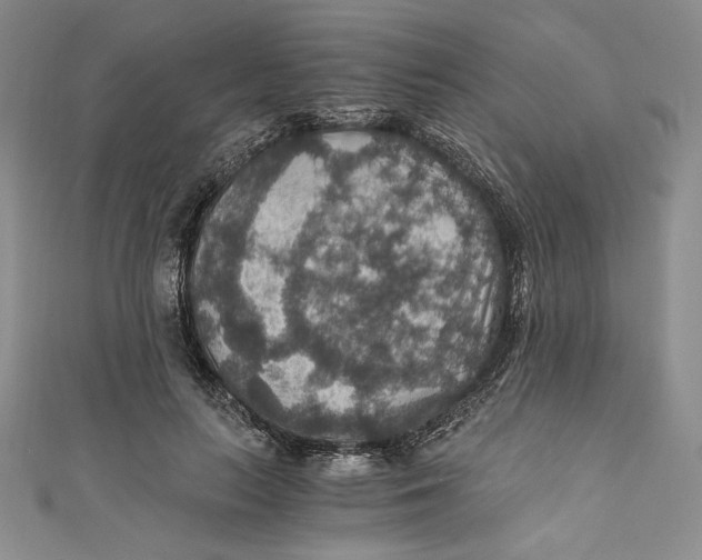 X0000110890647200907091355