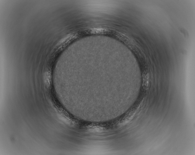 X0000110890648200907091355