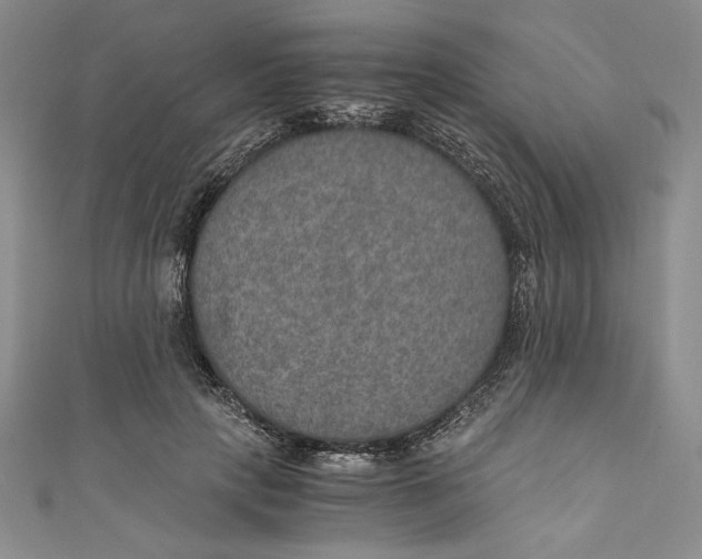 X0000110890649200907091355