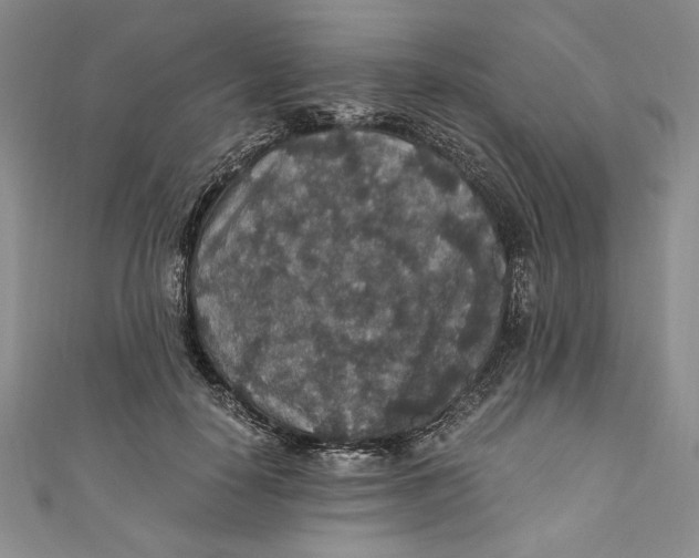 X0000110890650200907091355