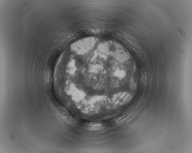 X0000110890651200907091355